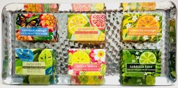 Sensational Botanical Soap Collection ($25)